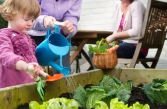 How to Transition Your Garden Between Seasons