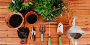 What Are the Best Indoor Gardening Tools?