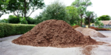 What Are the Best Mulching Materials for Organic Gardens?
