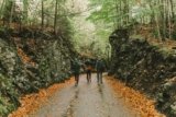 Family-Friendly Road Trip Tips for Kids and Adults